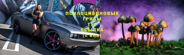 тгк Вязьма