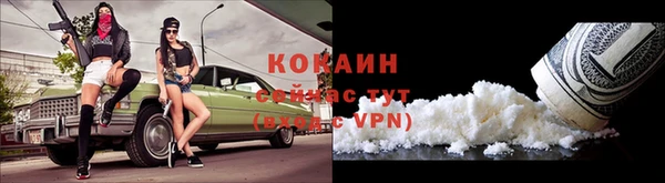 твердый Вяземский