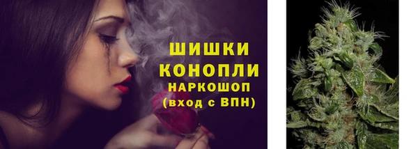 твердый Вяземский