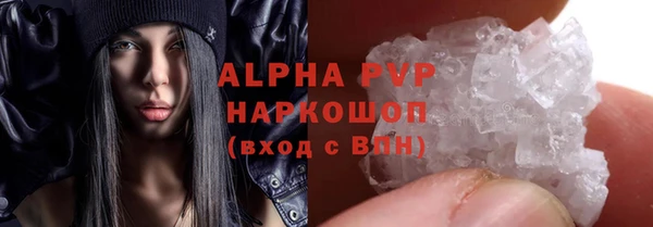 твердый Вяземский
