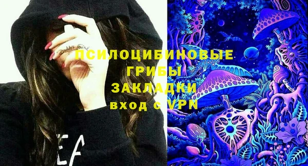 стаф Вязники