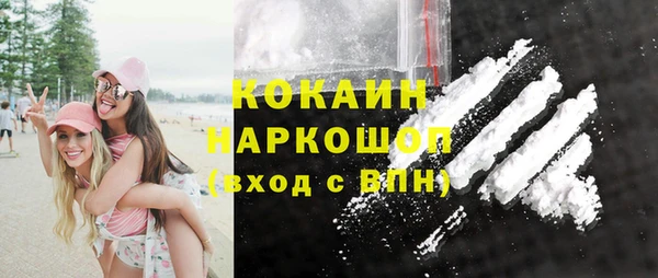 твердый Вяземский