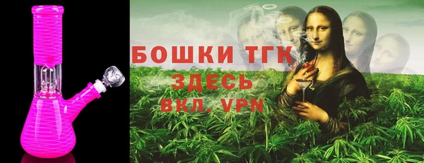 твердый Вяземский