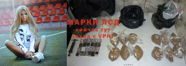твердый Вяземский